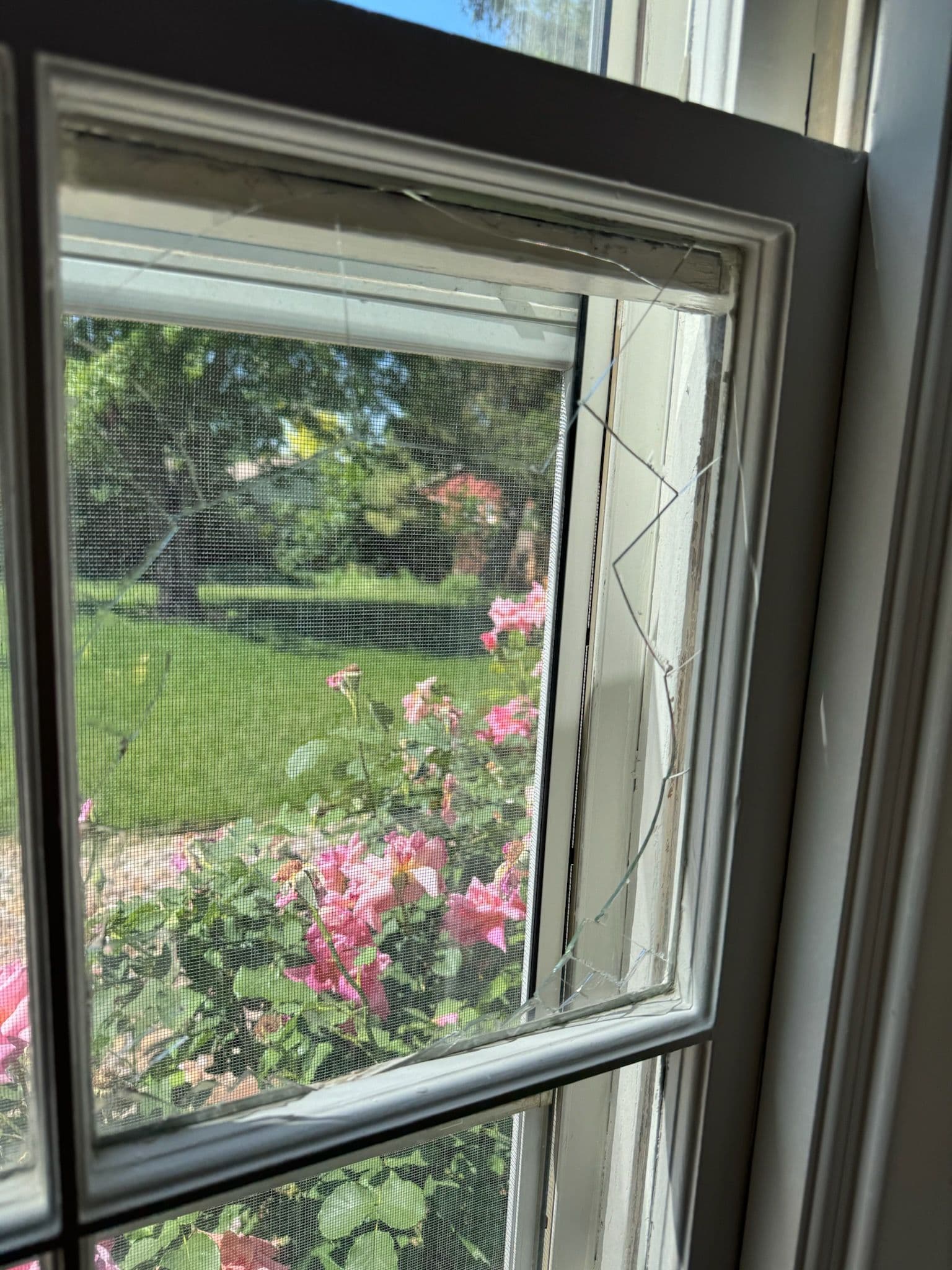 Salt Lake City Cottage Window Revamp image